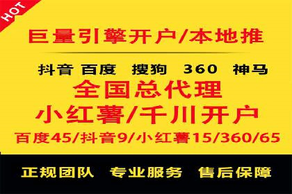 专业sem托管服务案例，揭秘广告投放优化策略